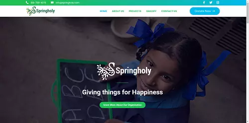 SPRINGHOLY FOUNDATION